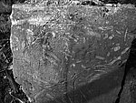 东城门石刻门额残片（王永弟提供）.jpg