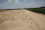 Ȫ1
